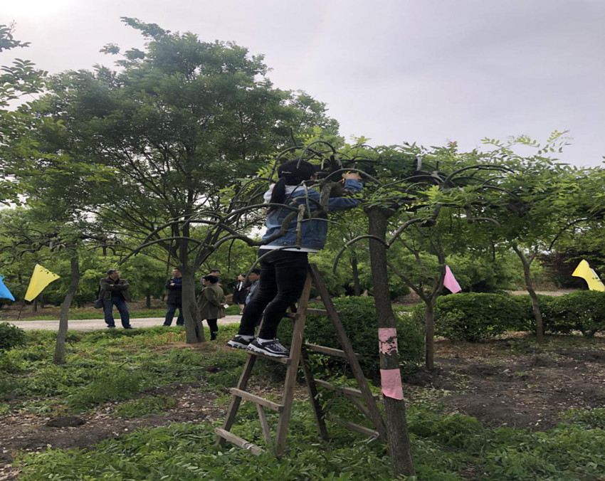 1563348828807740.jpg 圖片2_副本.jpg